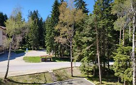 Tes Borovets Gardens Apertments